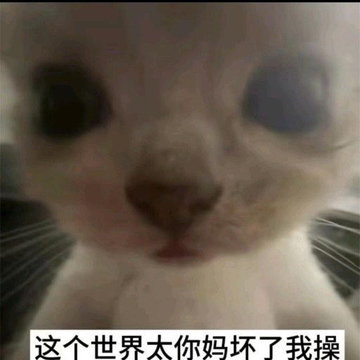 多多よOwO