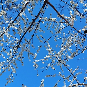 艺瑾城