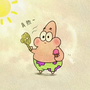 派大芯单片机
