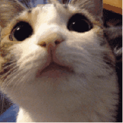 乃木坂46 18夏巡六周年live 三天全场 上行之坂 哔哩哔哩 つロ干杯 Bilibili