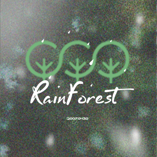 RainForest-张泽禹