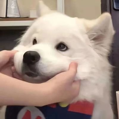 带货清单补给站