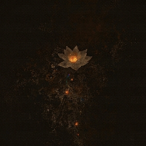 南栀6801