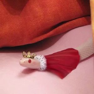 前任3续篇 前任4:你好前任