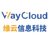维云信息科技