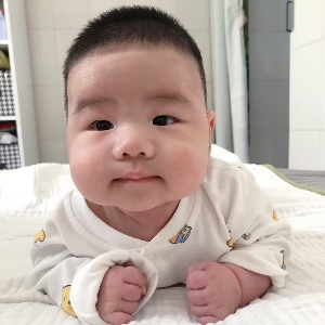 南风教程
