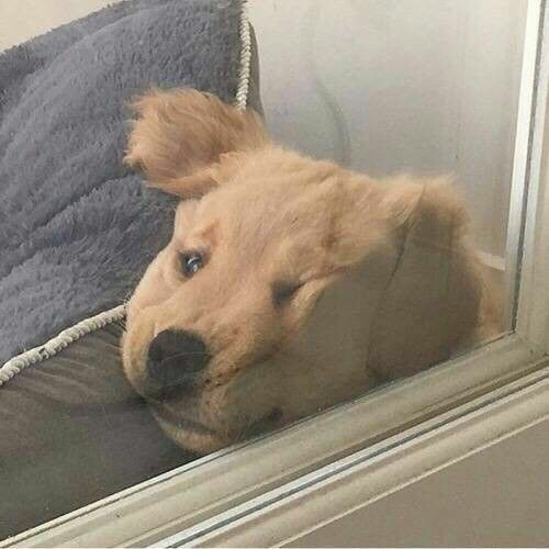 巫师3 冲进尼弗迦德的军营