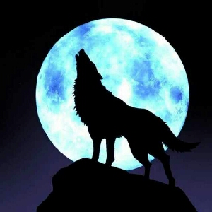 闪客shank1代自制中文字幕二周目困难难度通关流程