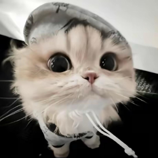 枫苓uu