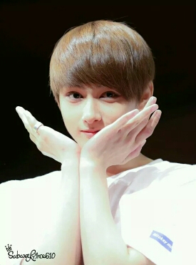 初见朱由检张婵刘济恺谢闻轩明珠游龙