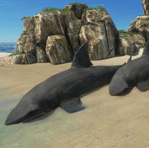 diymax的投稿视频