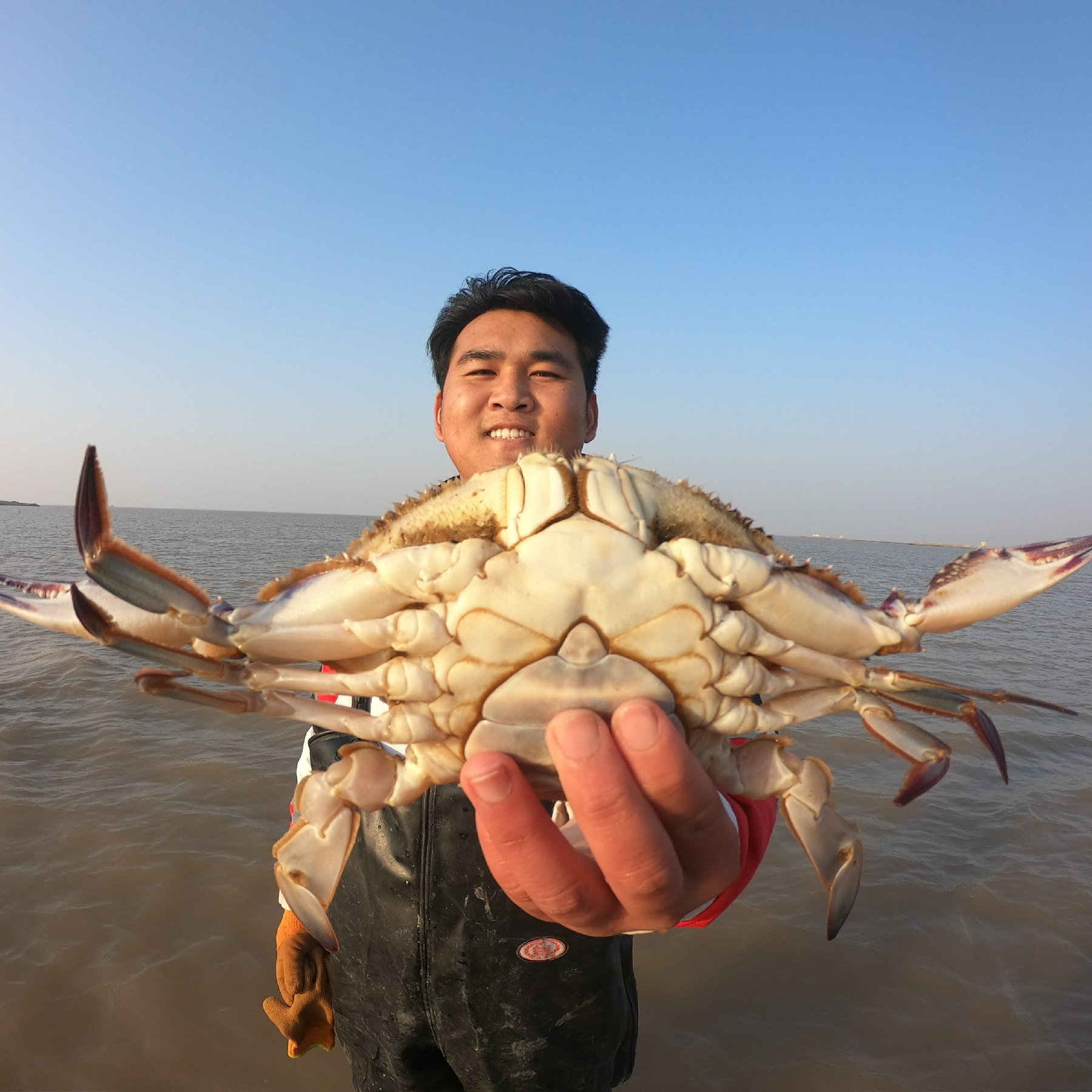 大胖徒步20里来新海滩赶海,发现隐藏在深处的大蛏王,一个顶十个