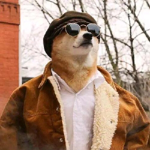 小米天猫专刷