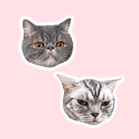 #减肥知识小笔记#5 TDEE、基础代谢、NEAT