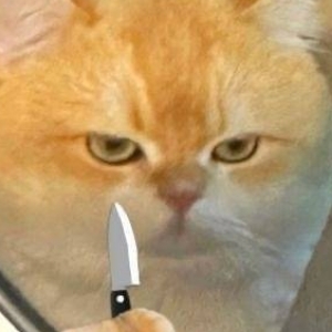 爱喝水的三豆苗