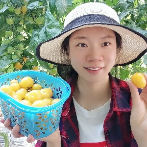 我是大西北姑娘