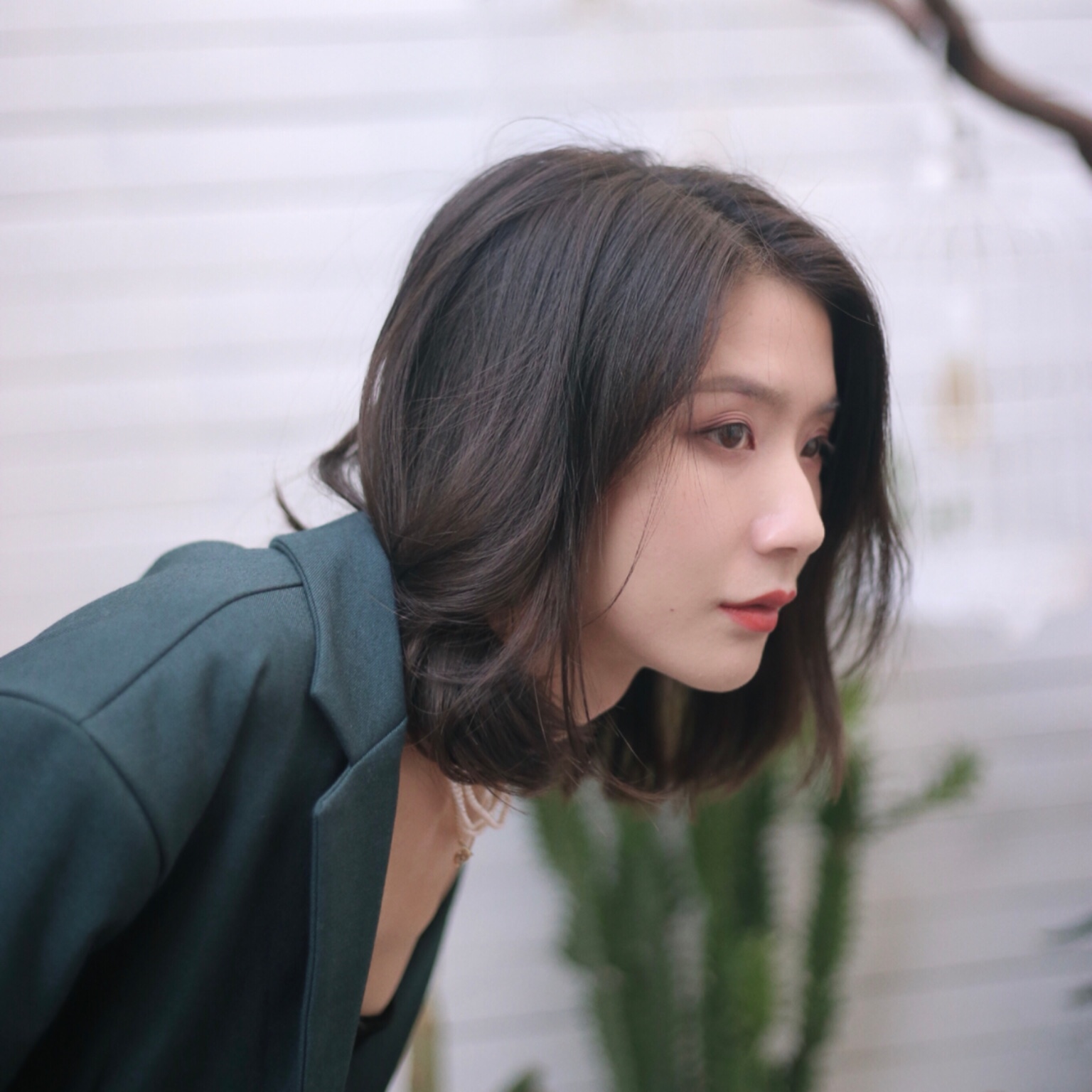 大莫莫被注册了