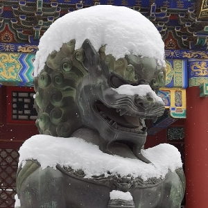 郭伟说-财税融