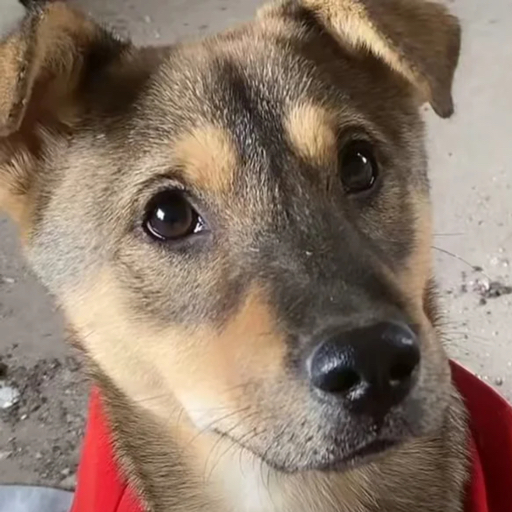 保温开水壶做毛版