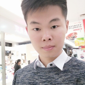 会飞的蛇_n