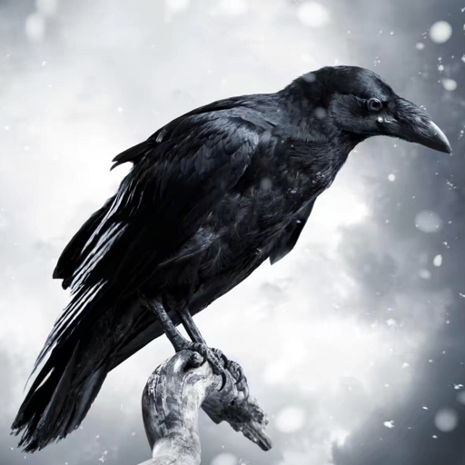 美国前国务卿鲍威尔去世,曾拿白色粉末证明伊拉克有大