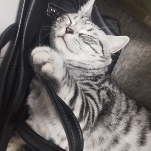 老白萝卜上九楼