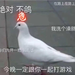 牛哔哩,一个只有评论的网站