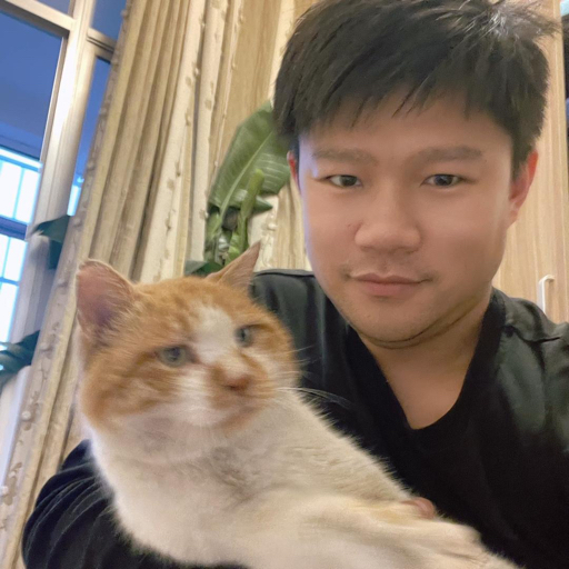 熊二和猫