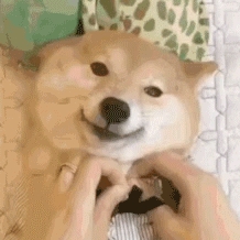 ⚠