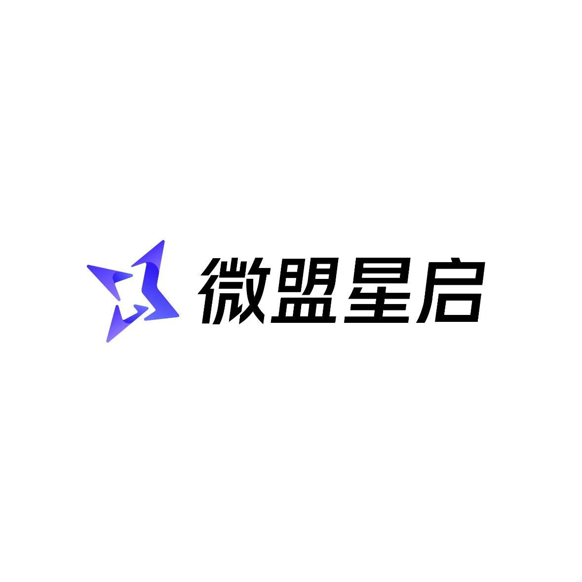 微盟星启geo优化