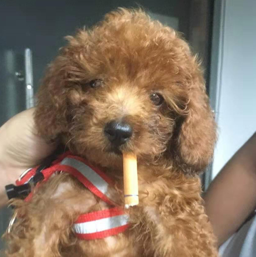 烟火百味人世繁华