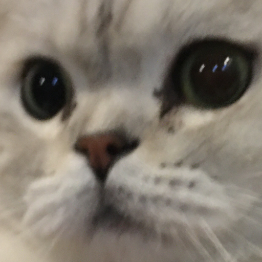 忆本TQ