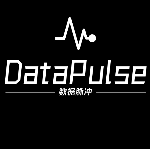 DataPulse辉常努腻