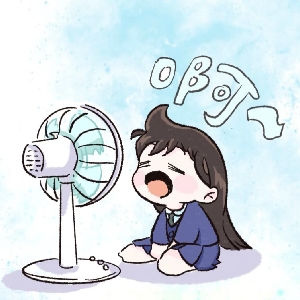 小岚数码