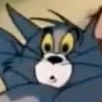 哔哩哔哩涨粉榜排行榜undefined类第28名布丁的猫meme