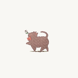 狗蛋狗蛋加油