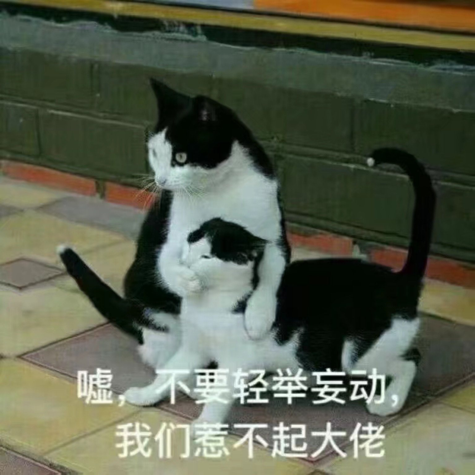 Jayden-Jiang