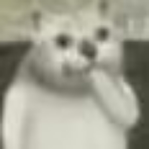 香油猪皮棒棒锤's avatar