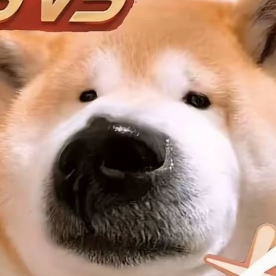 某铅