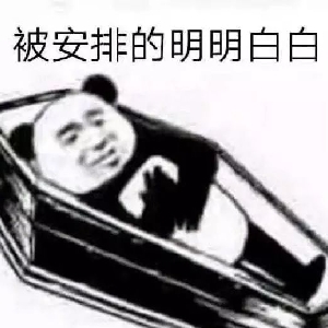 牛哔哩,一个只有评论的网站