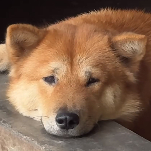 埋火