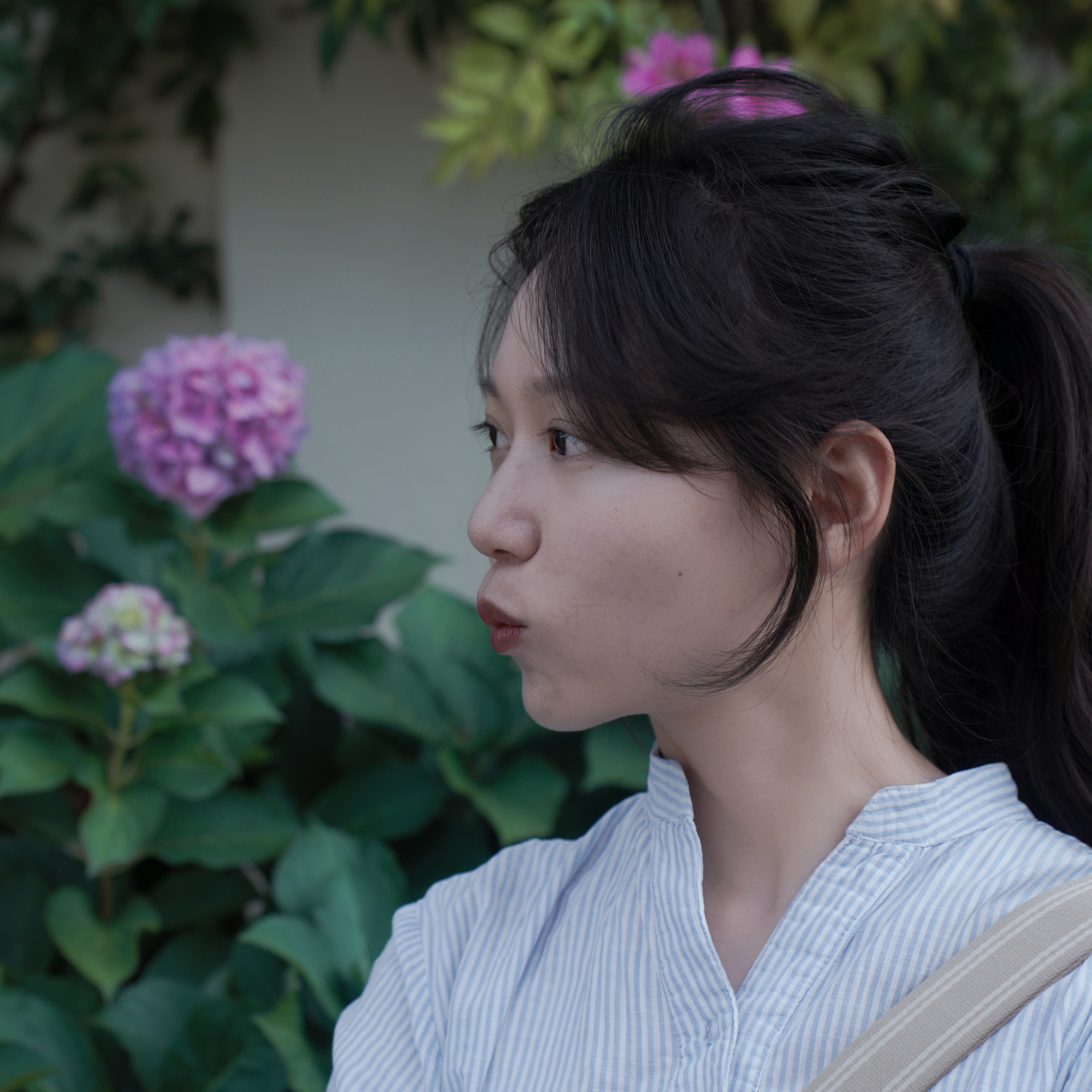 瑶瑶link