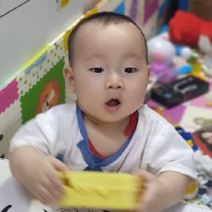 小牛数码港