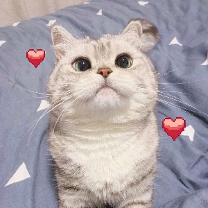 活动作品倾罪2020527策蓬花徵落方小笛霸蓬花云水沐俞白维列车传火