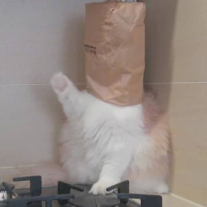 ⚠