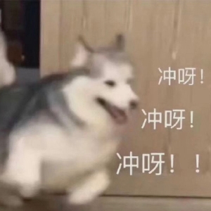 小乔的编程内容分享站