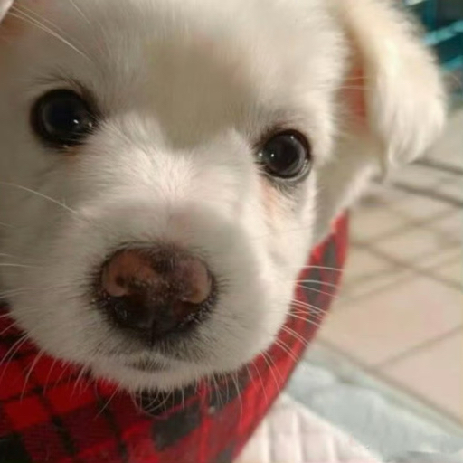 你猜啊猜啊再猜啊