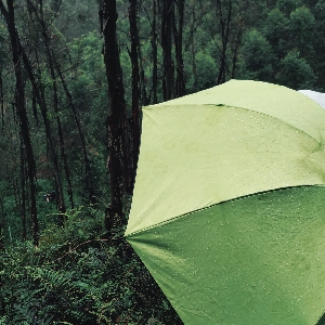 牛哔哩,一个只有评论的网站