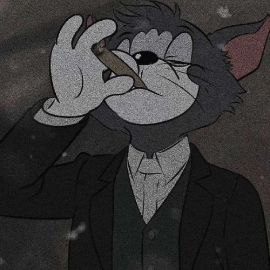 皇工绛Z's avatar