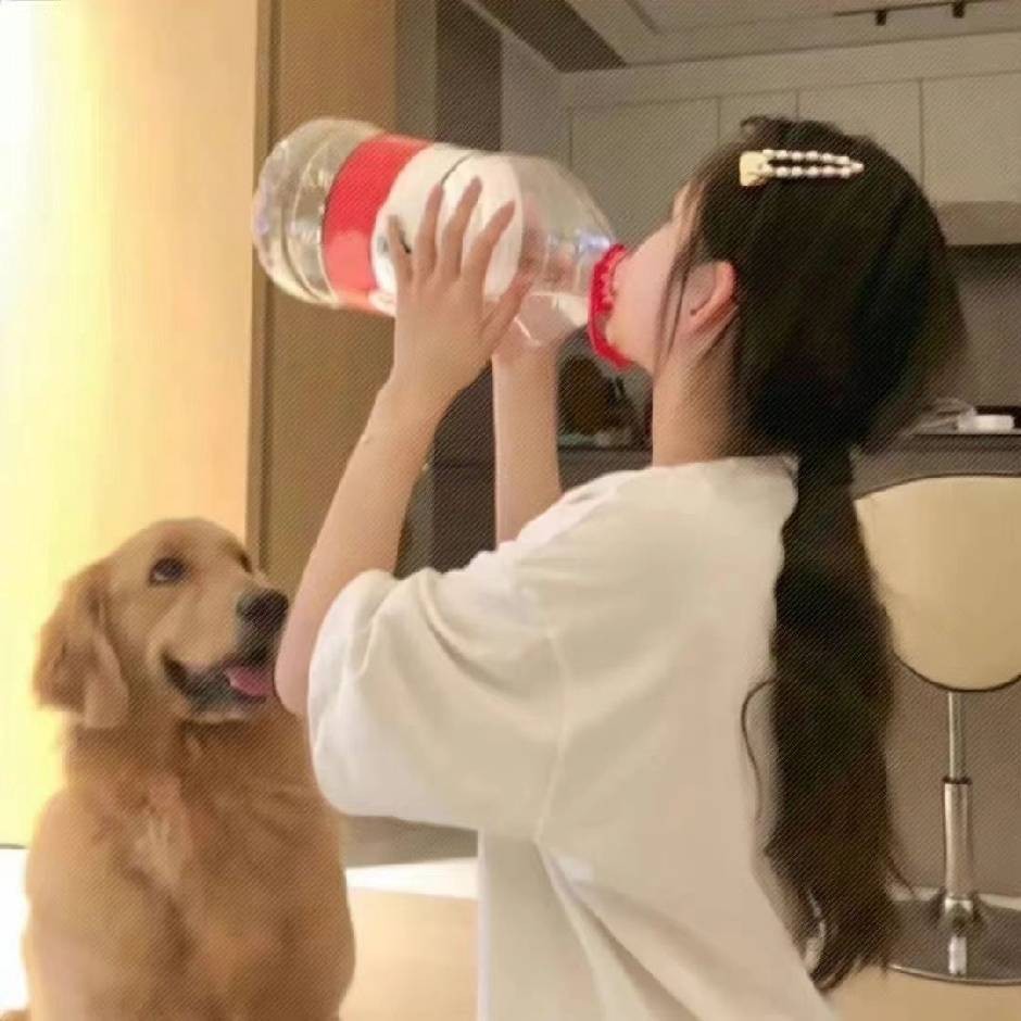 茉莉-坝顶狙士官